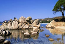 亚星：[CBA]沃伦击地妙传 克劳福德双手吊筐暴扣.